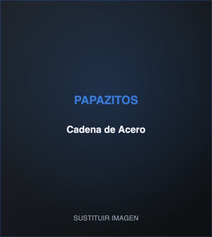 Cadena de Acero