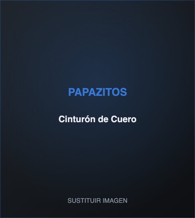 Cinturón de Cuero
